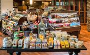 Thunderbird Market