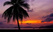 崖州湾粉红夕阳