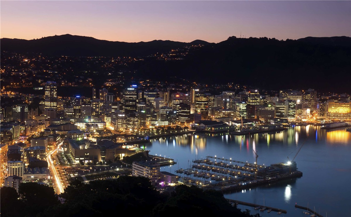 惠灵顿希尔顿逸林酒店