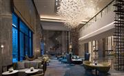 大堂吧位于酒店一层，是您商务会晤或静享悠然时光的理想去处。