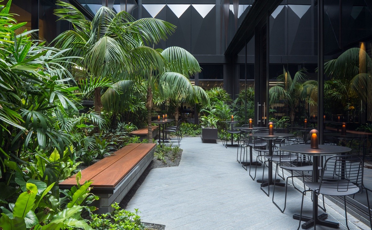 west hotel 的中庭是观赏悉尼良辰美景的理想之所,同时享用来自 so