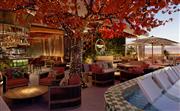 SUSHISAMBA
